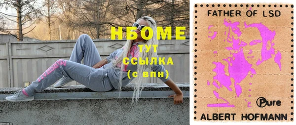 ПСИЛОЦИБИНОВЫЕ ГРИБЫ Михайлов