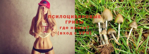 дмт Абдулино