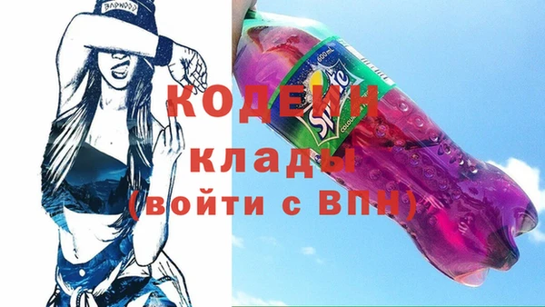 ПСИЛОЦИБИНОВЫЕ ГРИБЫ Михайлов