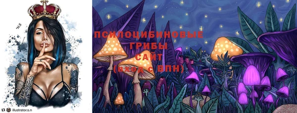 дмт Абдулино