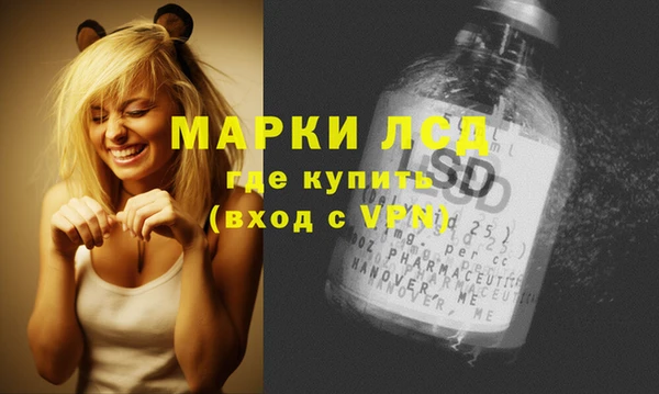 твердый Абаза